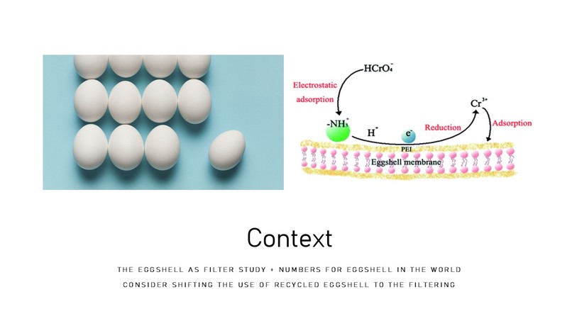 Eggshell Water Filtration System – screenshot 2