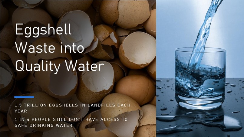 Eggshell Water Filtration System – screenshot 5
