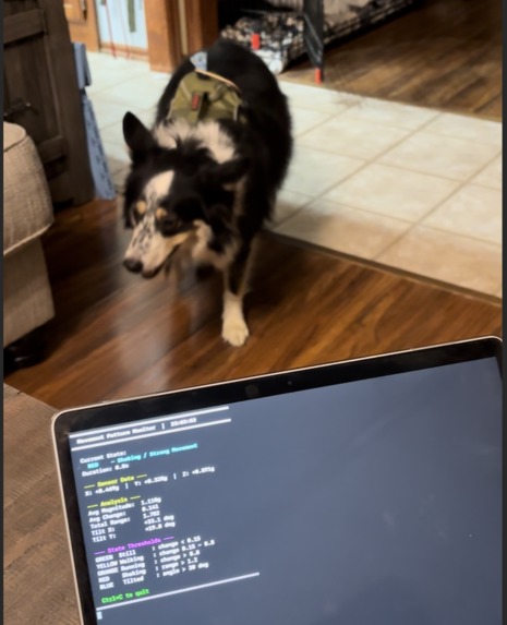 Petpulse – screenshot 7