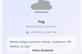 RANE - Your Inner Weather for Emotional Clarity