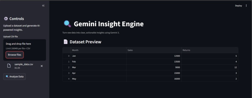 Gemini Insight Engine – screenshot 2