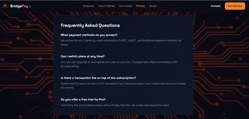 BridgePay AI – screenshot 2