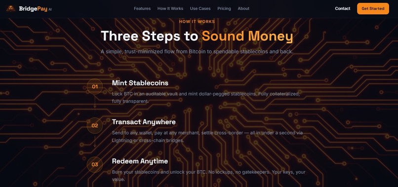 BridgePay AI – screenshot 3
