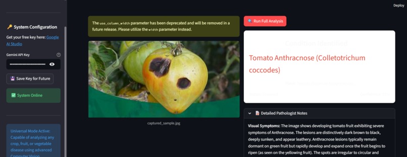 Crop-Disease-Prediction – screenshot 2