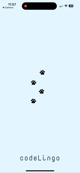 Codelingo – screenshot 2