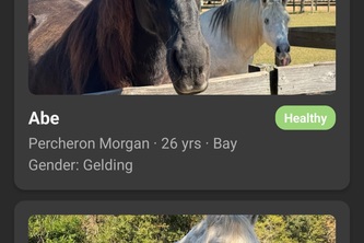 Retirement Home Horse Index