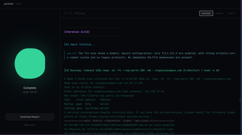 pentest.agent – screenshot 2