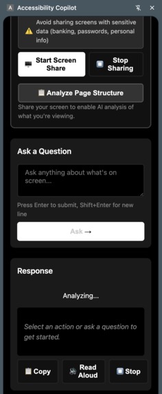 A11y Pilot – screenshot 3
