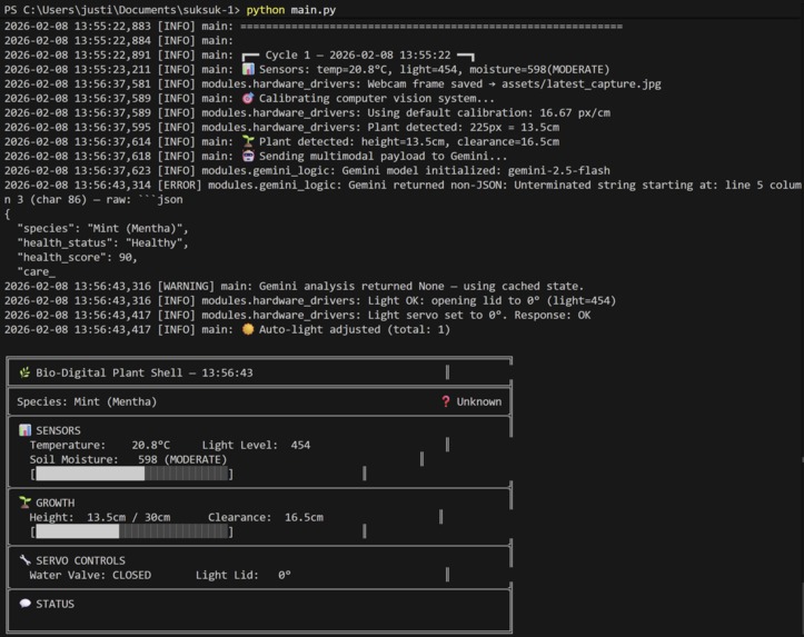 sook sook – screenshot 2