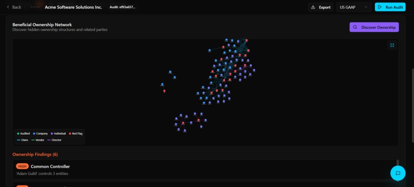 Aurea Insight – screenshot 3