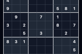 play_sudoku