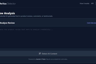 Veritas AI Review  Detector