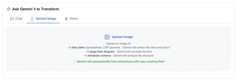 Gemini Data Wrangler – screenshot 2