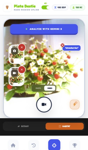 Plate Bestie – screenshot 4