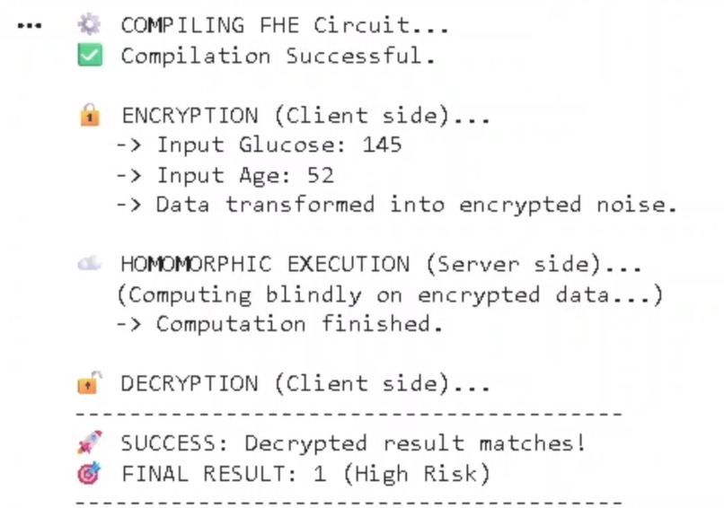 Gemini FHE Transpiler – screenshot 6