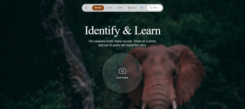Hakuna Matata Safari AI – screenshot 2