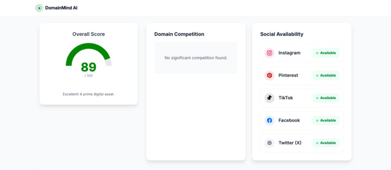 DomainMind AI – screenshot 9