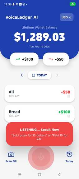 VoiceLedger AI: Speak to Track Your Money – screenshot 4