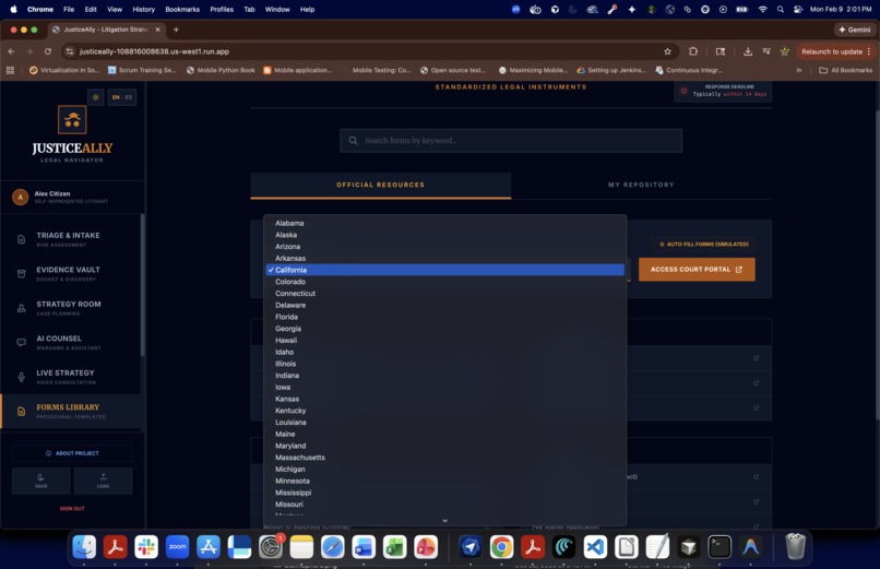 Justice Ally – screenshot 6