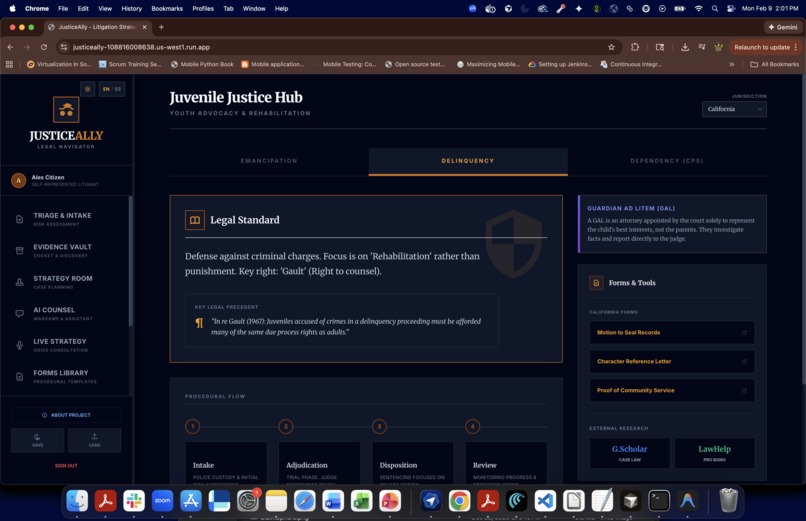 Justice Ally – screenshot 7
