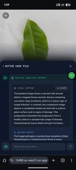 Eco-Forensic Lab – screenshot 3