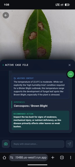 Eco-Forensic Lab – screenshot 4