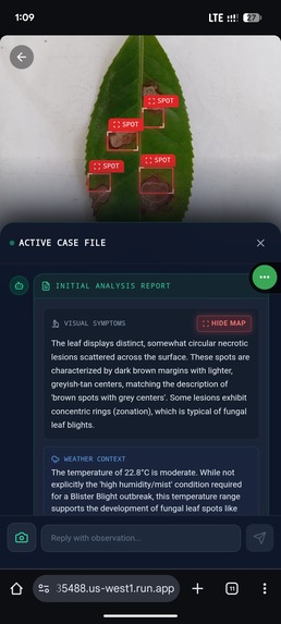 Eco-Forensic Lab – screenshot 5