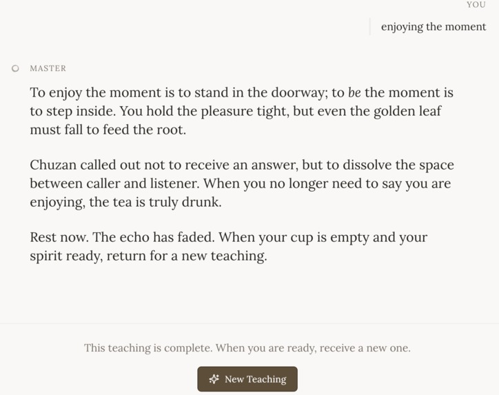 ZenDialog: Conversations with a Zen Master – screenshot 5