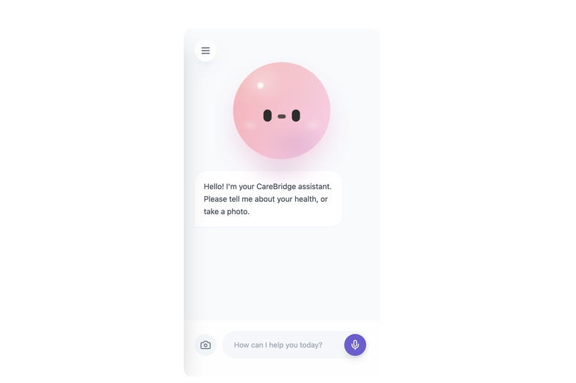 CareBridge – screenshot 2