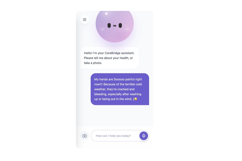 CareBridge – screenshot 4