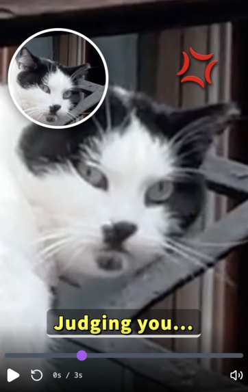 VarietyShow AI Director – screenshot 1