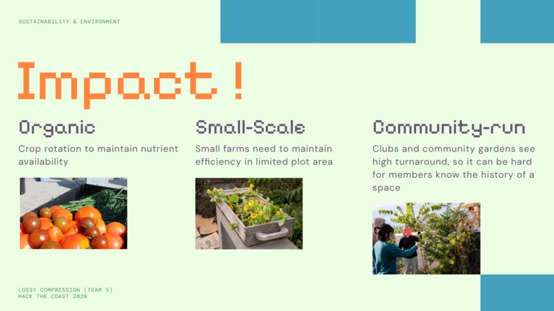 Rasterye – screenshot 4