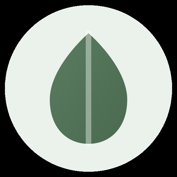 LifeOS – screenshot 1