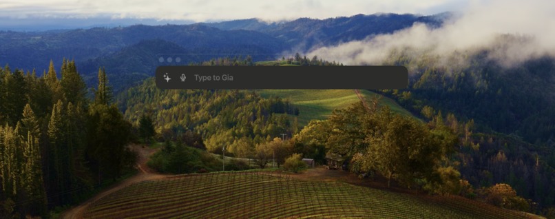 Gia – screenshot 1