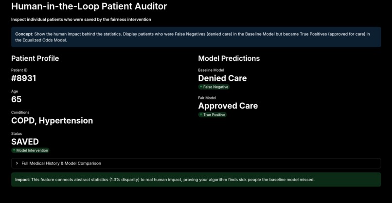 Gemini integration within Clinical fairness research – screenshot 7