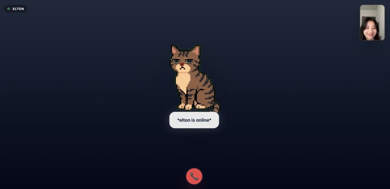 Life of My Pet – screenshot 5