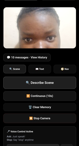 AccessiBridge – screenshot 7