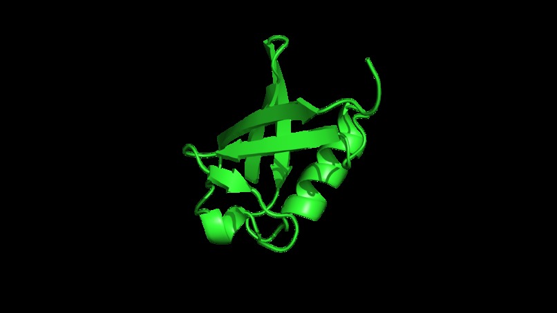 Molecular Analysis CoPilot – screenshot 6