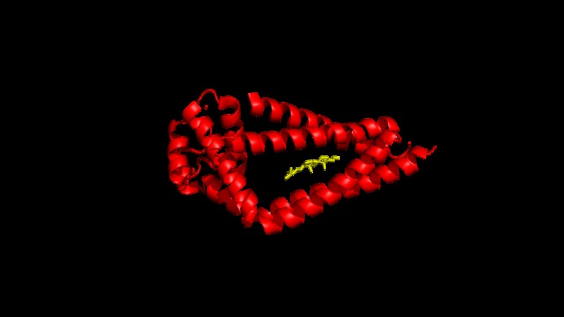 Molecular Analysis CoPilot – screenshot 7