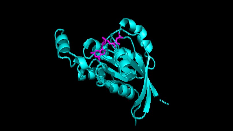 Molecular Analysis CoPilot – screenshot 8