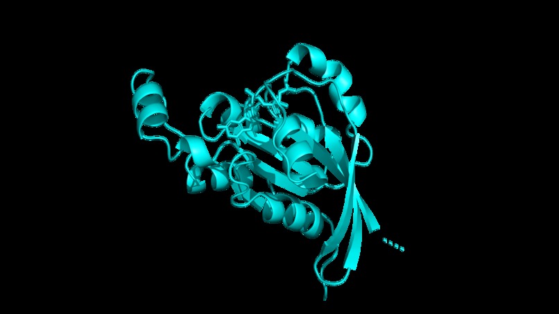 Molecular Analysis CoPilot – screenshot 9