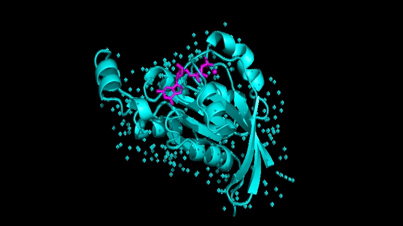 Molecular Analysis CoPilot – screenshot 11