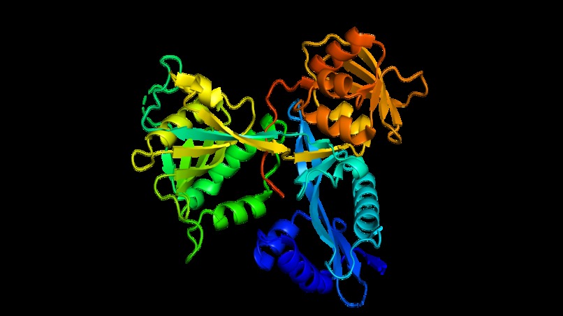 Molecular Analysis CoPilot – screenshot 12