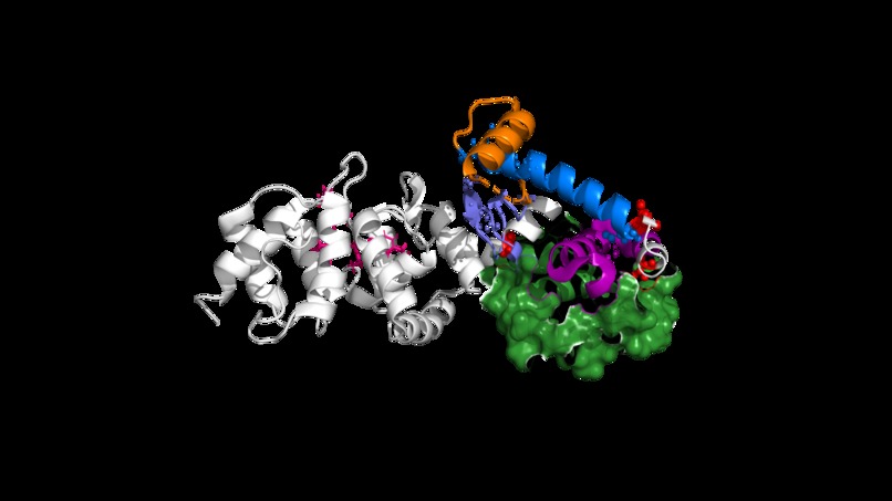 Molecular Analysis CoPilot – screenshot 13