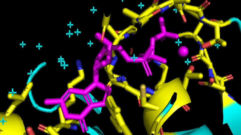 Molecular Analysis CoPilot – screenshot 18