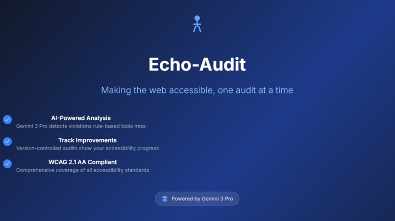 Echo-Audit – screenshot 1