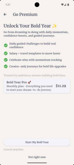 Bold Year – screenshot 4