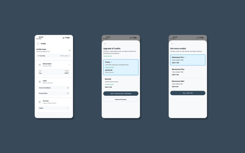 Momentum Coaching AI – screenshot 5