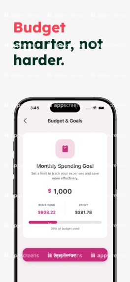 Pink Finance – screenshot 4