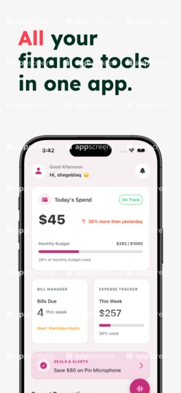 Pink Finance – screenshot 1